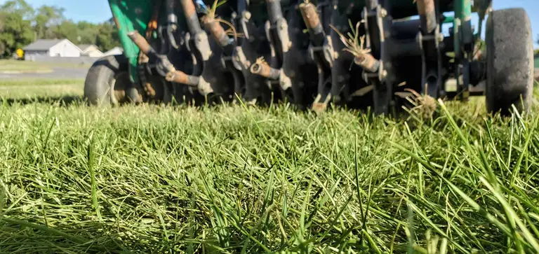 How to Aerate and Overseed Your Lawn for a Thicker, Healthier Yard